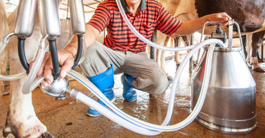 The Importance of Regular Maintenance for Milking Equipment