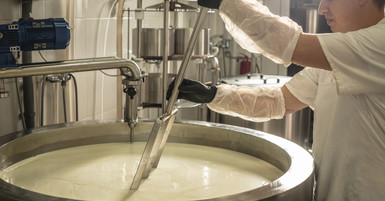 Things To Know Before Adding On-Farm Milk Processing