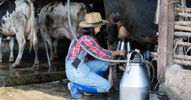 Tips for Extending the Life of Your Portable Milker