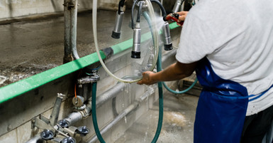 Tips for Longevity: Maintaining Your Milking Pulsator