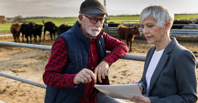 Top Challenges Facing Dairy Farmers Today