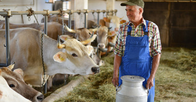 Top Reasons Every Dairy Farm Needs a Milking Strainer