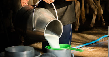 Understanding Filter Micron Ratings in Dairy Applications