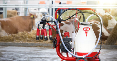 What’s New in Portable Milking Equipment Technology