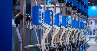 When To Replace Milking Tubes in High-Use Dairies