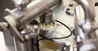 Why Invest in High-Quality Milk Processing Equipment