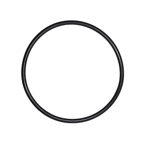 O-Ring for Ambic In-Line Detector (6-Pack)