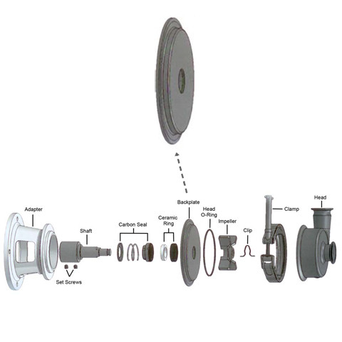 BACK PLATE FOR THOMSEN PUMP