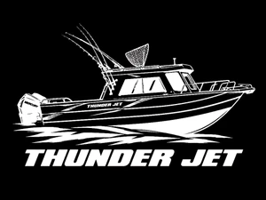 Thunder Jet Rug 48x36