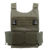 LOW PROFILE PLATE CARRIER