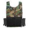 LOW PROFILE PLATE CARRIER