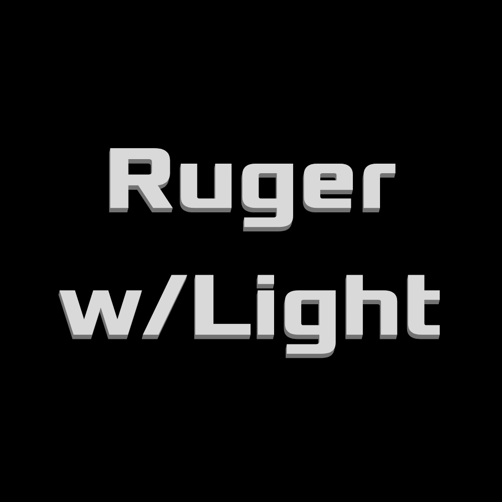 Ruger with/Light Holsters