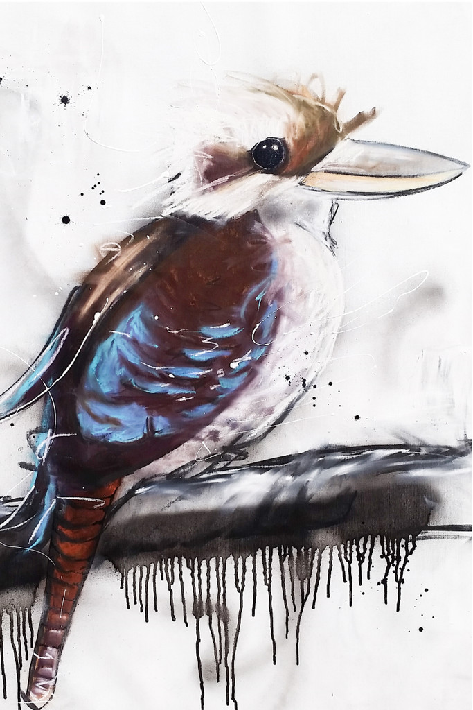 Blue Winged Kookaburra