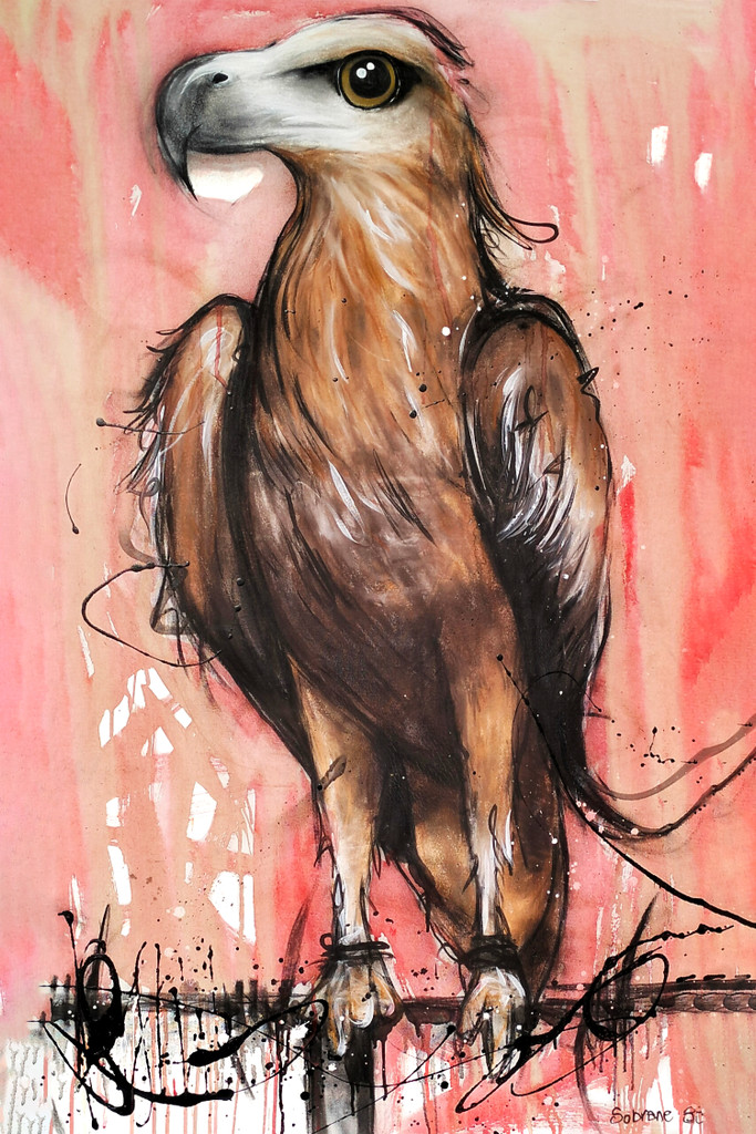 Eagle / Coffee Canvas print