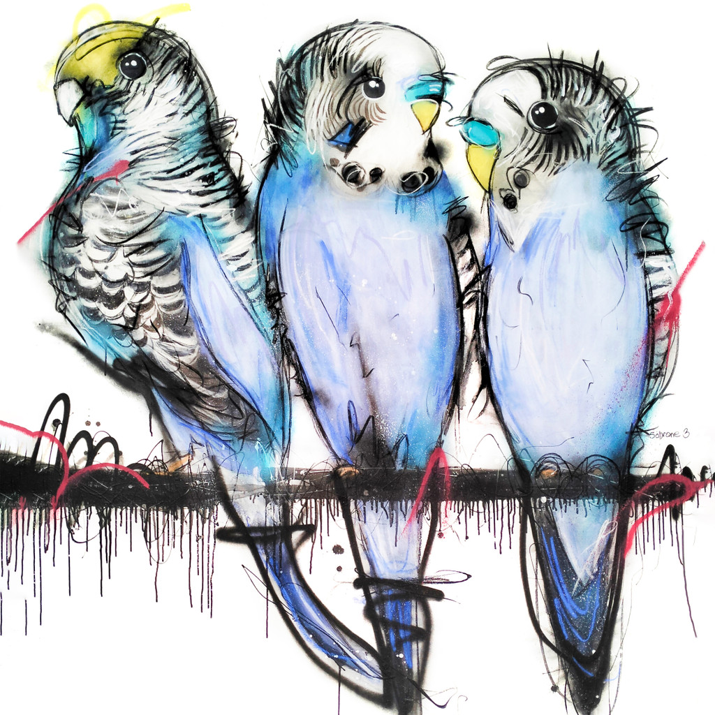 Budgies Canvas print