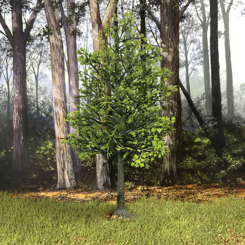 Maple Tree, Summer 11" Tall William Britain (53021) Alt Image 2