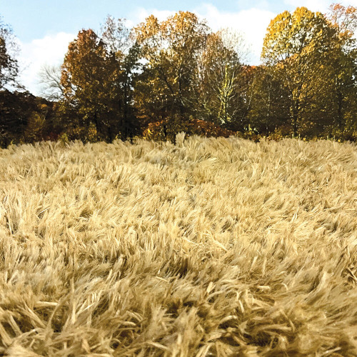 FALL MEADOW GRASS MAT 32"X 12"   William Britain (80006) Main Image