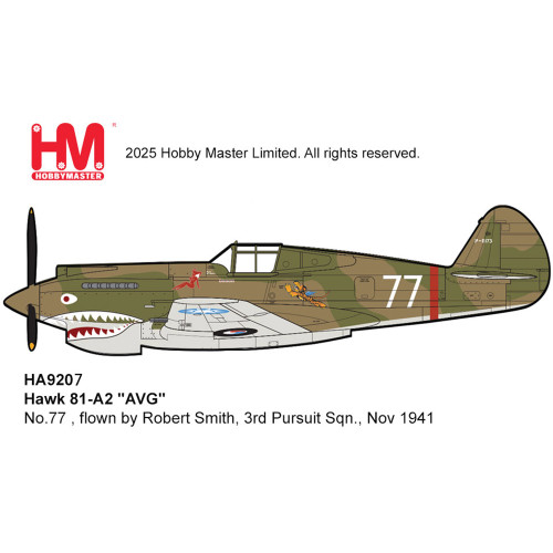 P-40B Warhawk 1/48 Die Cast Model Main Image