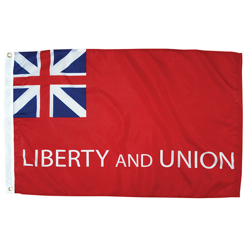 Taunton Flag Main Image