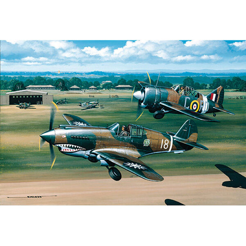 Flying Tigers and Buffalos Main Image