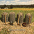 Field Fortifications 1/30 9-Piece Set William Britain (53012) Alt Image 2