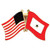 U.S. Flag/Service Star Lapel Pin Main Image