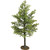 Maple Tree Summer 11 Tall William Britain (53021) Main Image