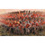 British Infantry 1815 1/72 Plastic Figures Main Image