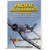 Pacific Adversaries: Volume 3 Avonmore (9780648665953) Main Image