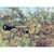 Germ. PAK 40 AT Gun & crew 1/72 Plastic Figures Italeri (6096s) Main Image