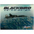 Blackbird 2026 Wall Calendar  C-BB26 Main Image