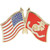 U.S. Flag and USMC Flag Lapel Pin Eagle Emblems (P62593) Main Image