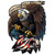 Eagle/Flag These Colors...Metal Sign FLY029 Main Image