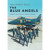 Blue Angels - Images of Modern America Main Image