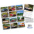 Muscle Car Classics 2023 Wall Calendar Alt Image 1