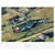 Herky's Big Day Main Image