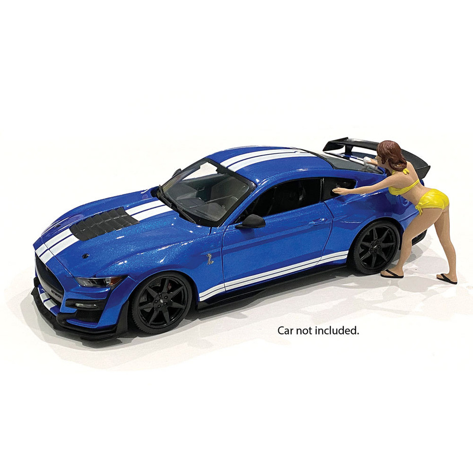 Bikini Car Wash Girl - Stephanie Main Image