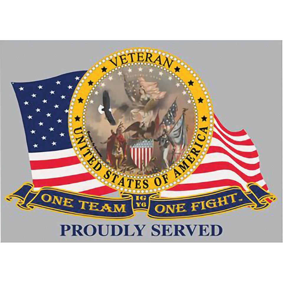 Veteran Magnet - Eagle Emblems (MG0825) Main Image