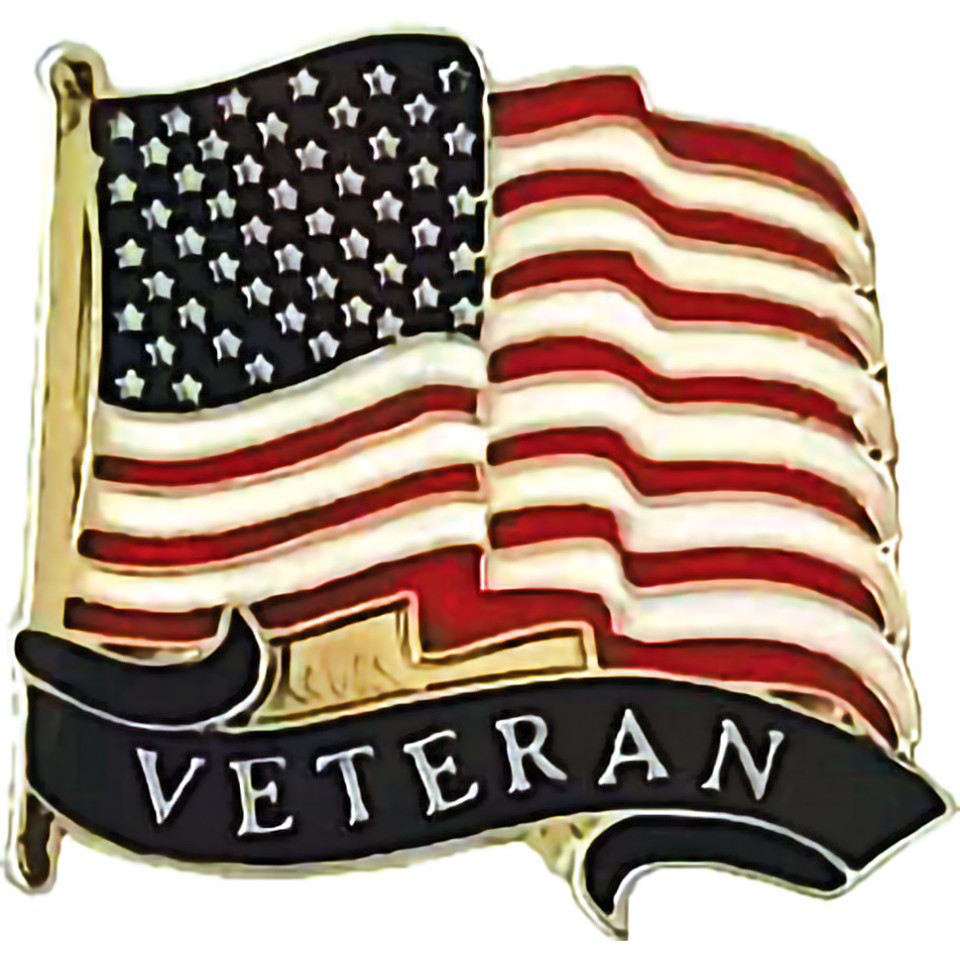 USA Veteran Wavy Lapel Pin Ruffin (249301) Main Image