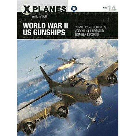 World War II US Gunships Main Image
