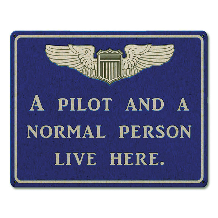Pilot and Normal Person Metal Sign Main Image