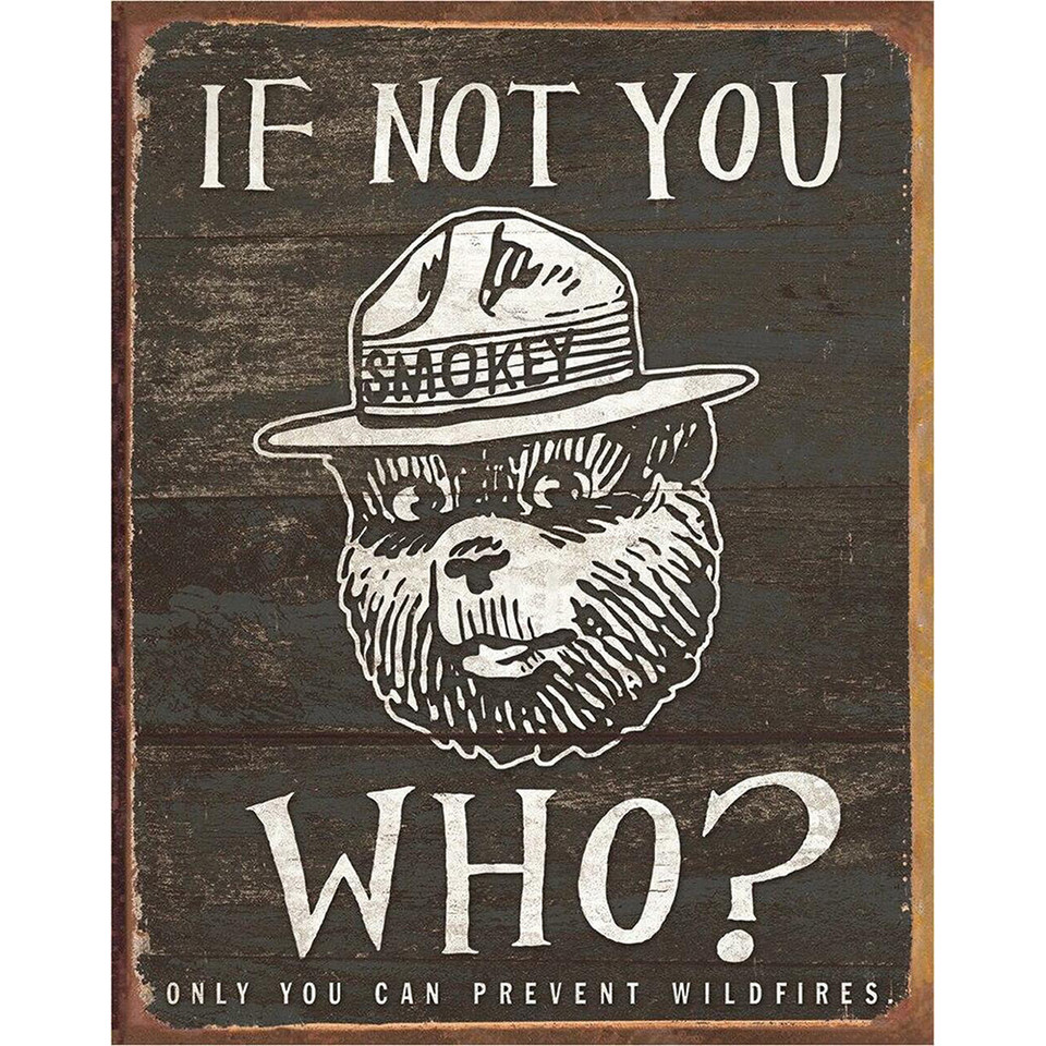 Smokey The Bear If Not You, Who? Metal Sign Main Image