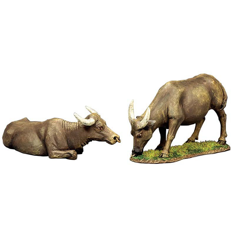 2-Piece Water Buffalo Set Main Image
