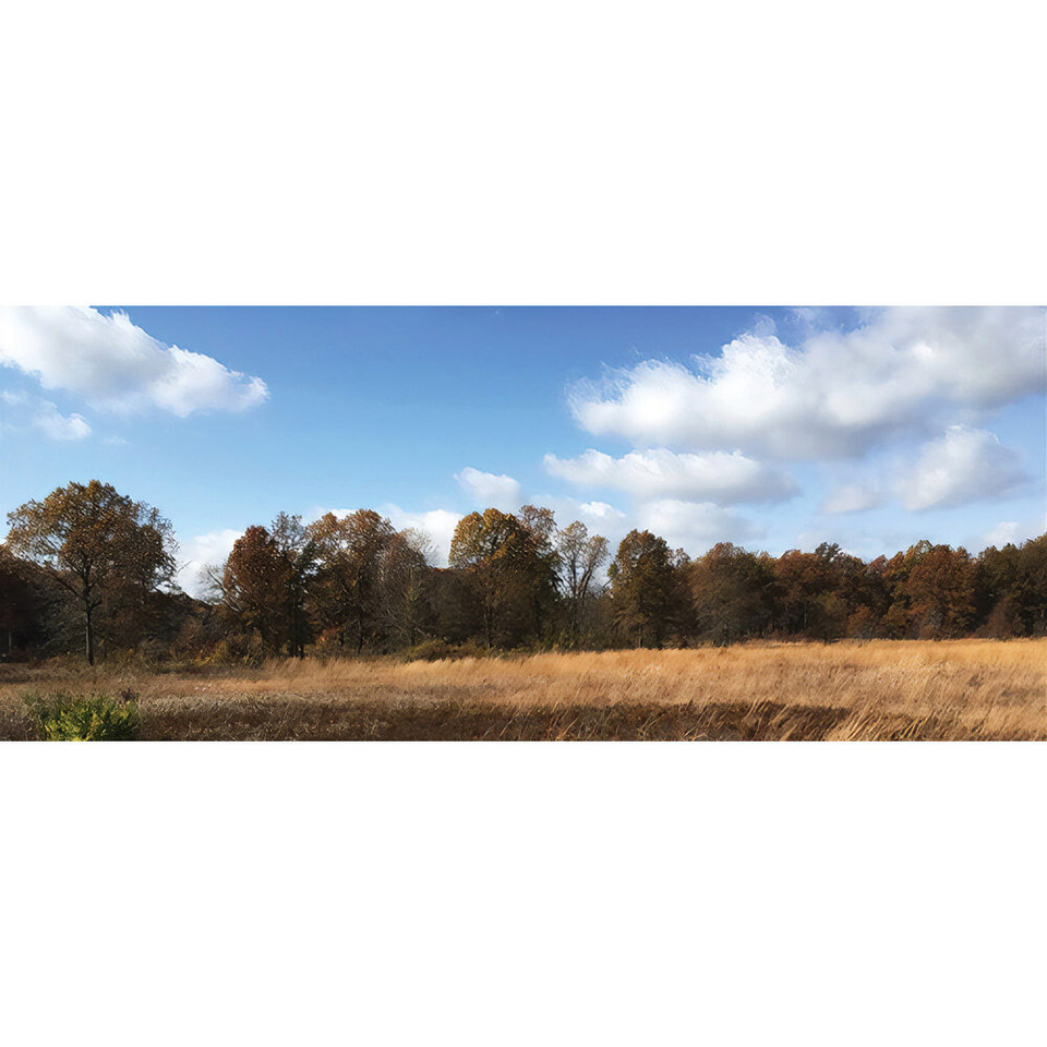 Open Field Scenic Backdrop - 31"W x 13" H WILLIAM BRITAIN 51102 Main Image