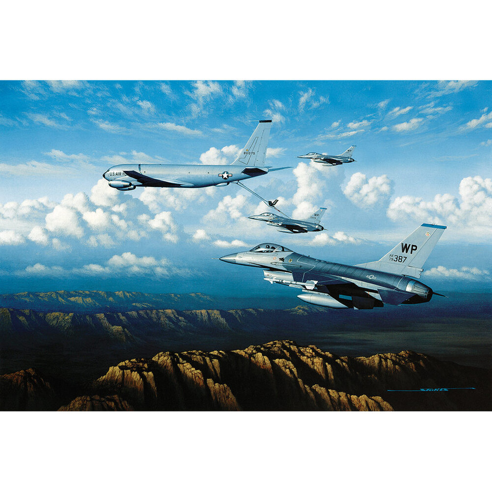 Thirsty Falcons - Stan Stokes Art Print Main Image
