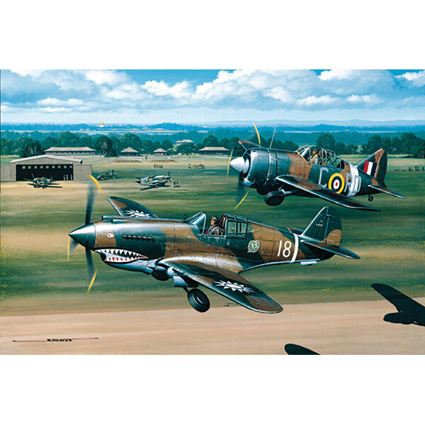 Flying Tigers and Buffalos Main Image