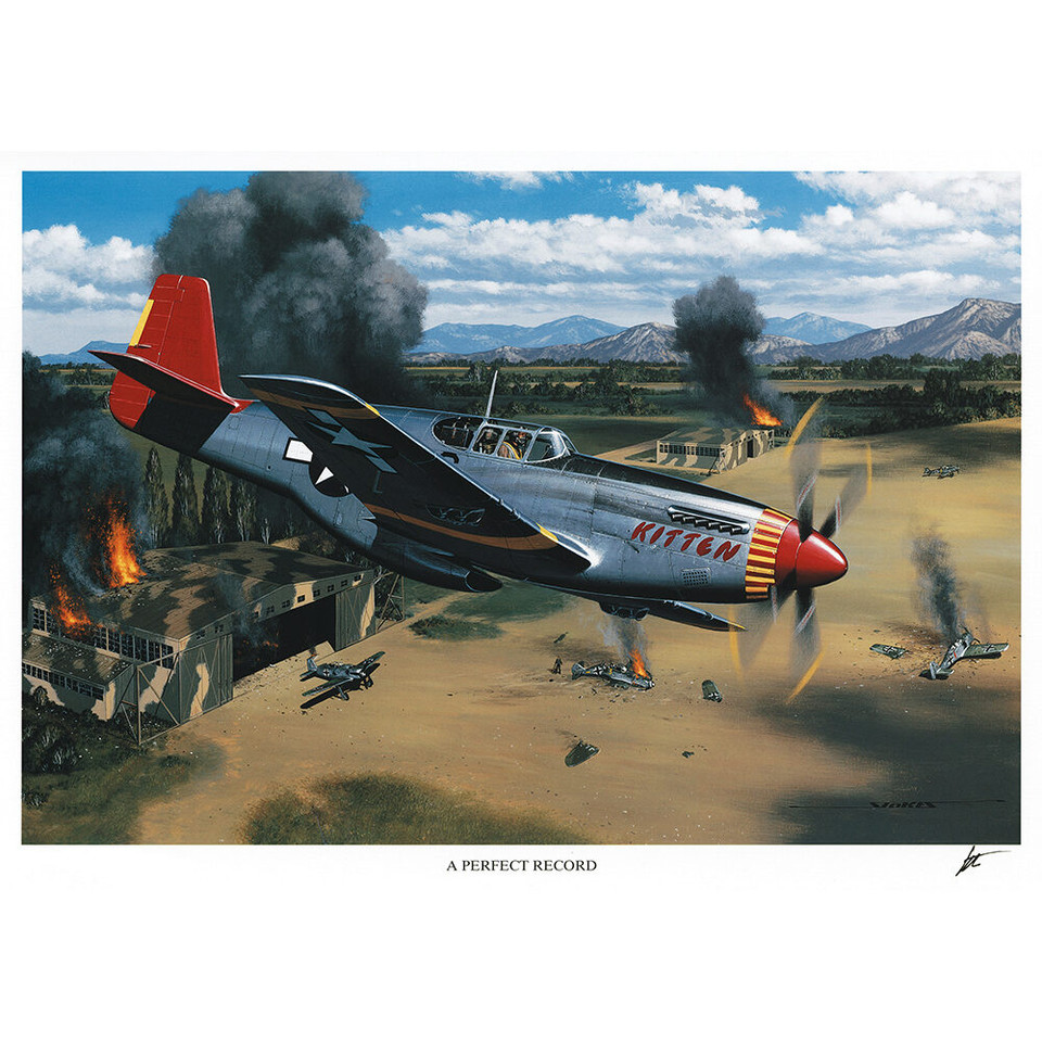 A Perfect Record - 16" x 11-1/2" - Stan Stokes Art Print Main Image