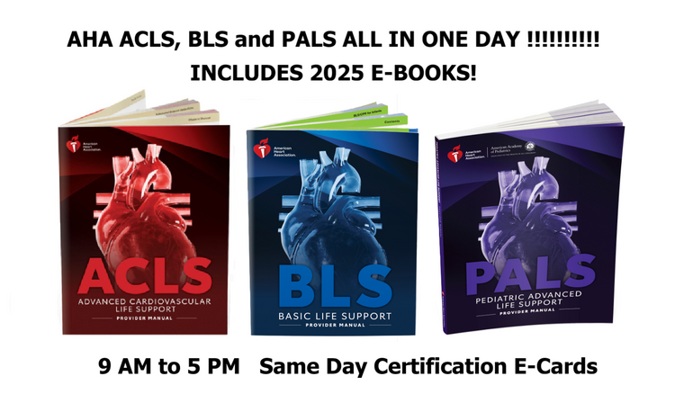 AHA 2025 ACLS BLS and PALS Provider Manuals
