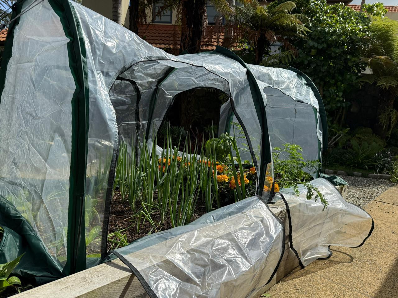 Gubba Poly Tunnel 2m x 1m - Dual Side Opening 
