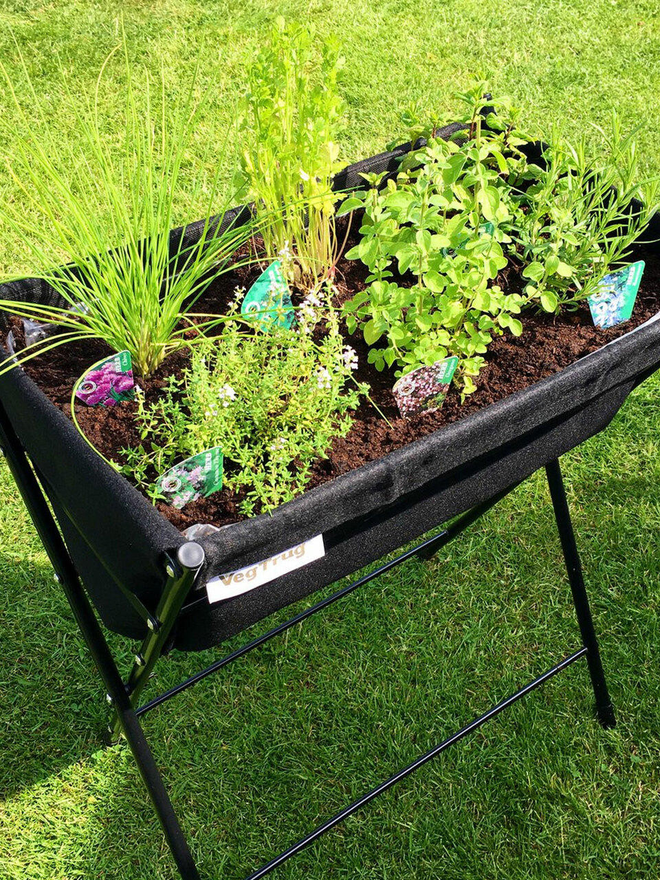 VegTrug Poppy - Black